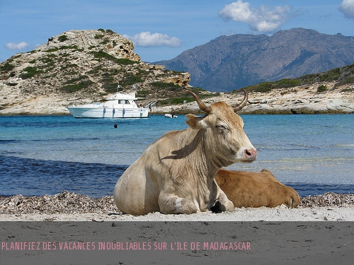 Madagascar : votre guide vers un séjour inoubliable